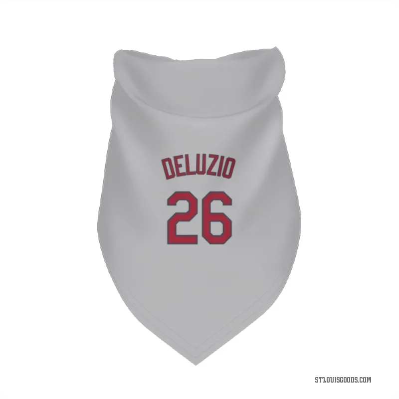 Ben DeLuzio  Gray St. Louis Cardinals  Cat & Dog Pet Bandana