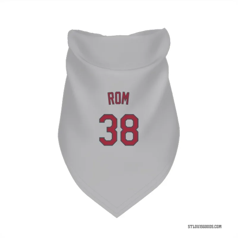 Drew Rom  Gray St. Louis Cardinals  Cat & Dog Pet Bandana