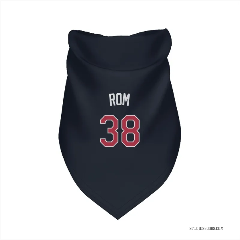 Drew Rom  Navy St. Louis Cardinals  Cat & Dog Pet Bandana