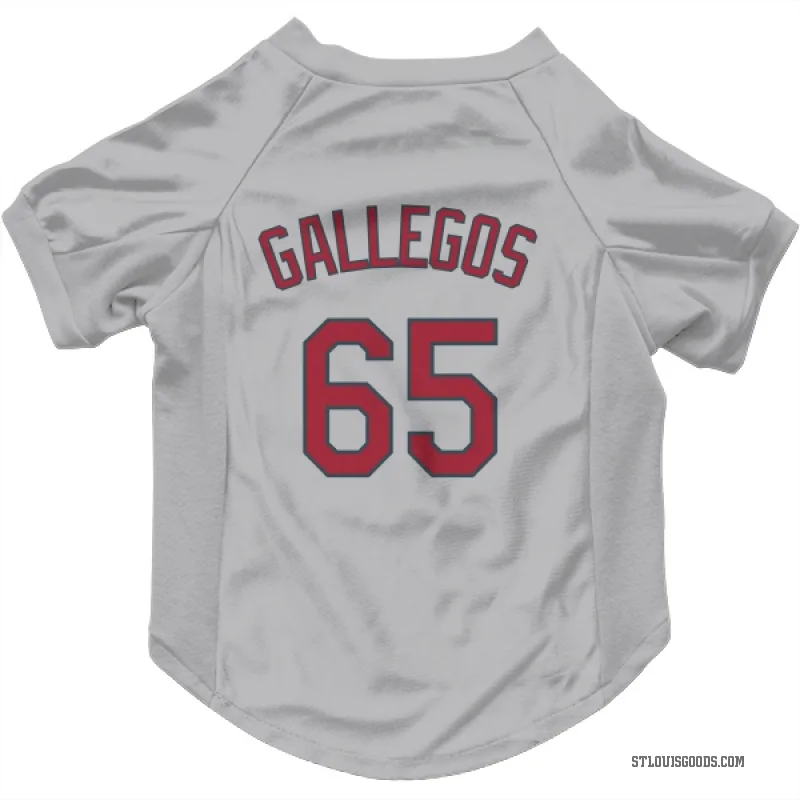 Giovanny Gallegos  Gray St. Louis Cardinals  Cat & Dog Pet Jersey