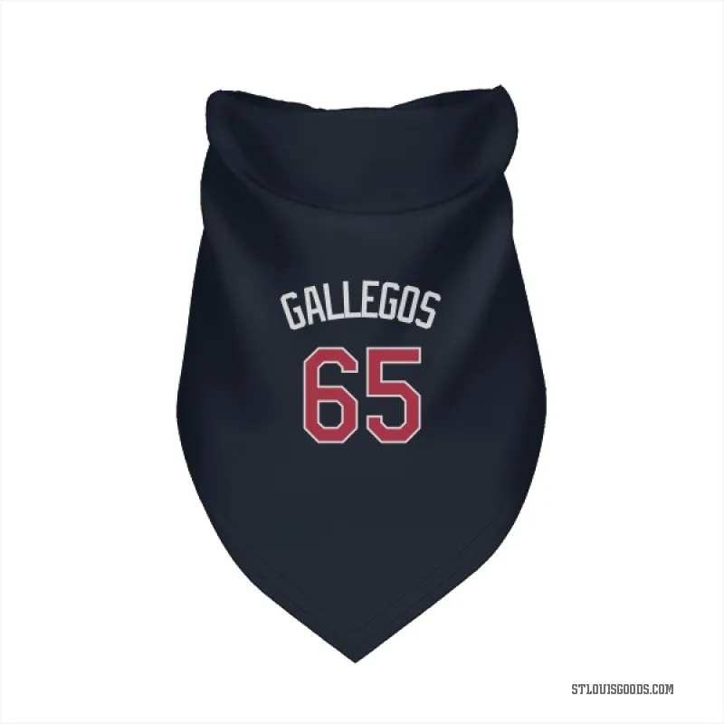 Giovanny Gallegos  Navy St. Louis Cardinals  Cat & Dog Pet Bandana