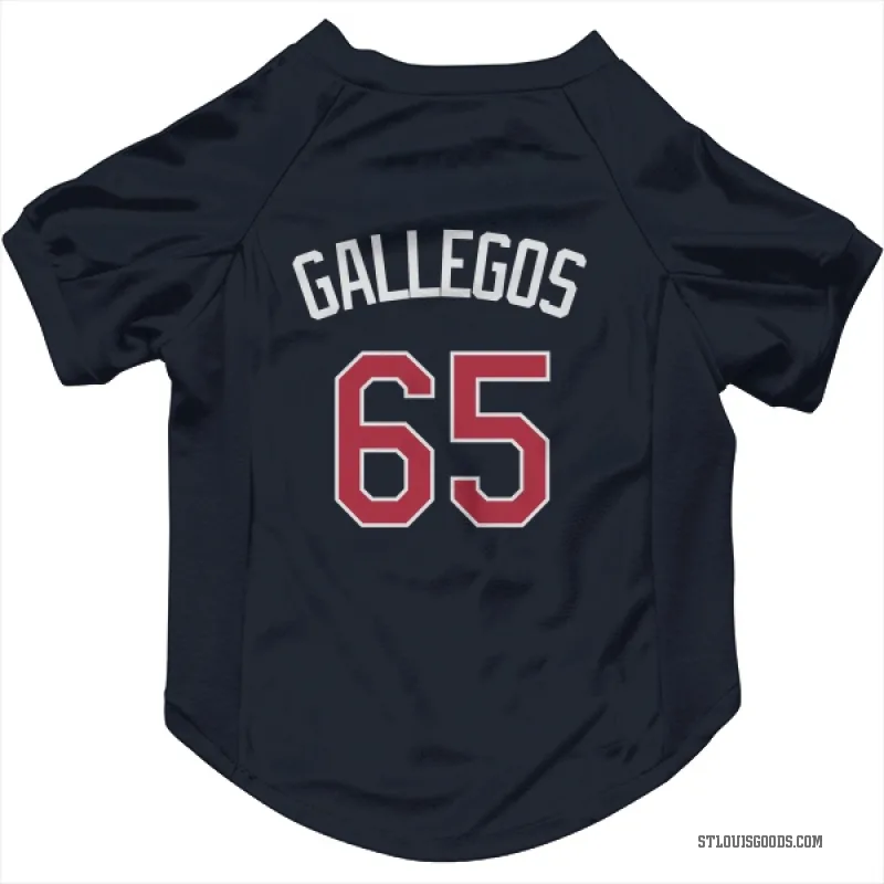 Giovanny Gallegos  Navy St. Louis Cardinals  Cat & Dog Pet Jersey