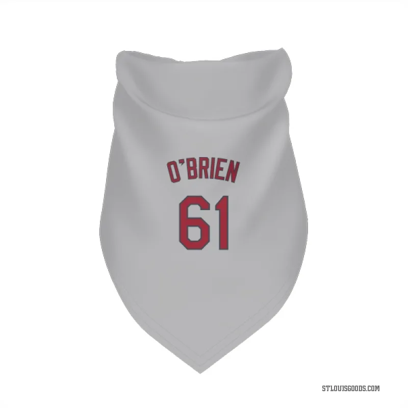 Riley O'Brien  Gray St. Louis Cardinals  Cat & Dog Pet Bandana