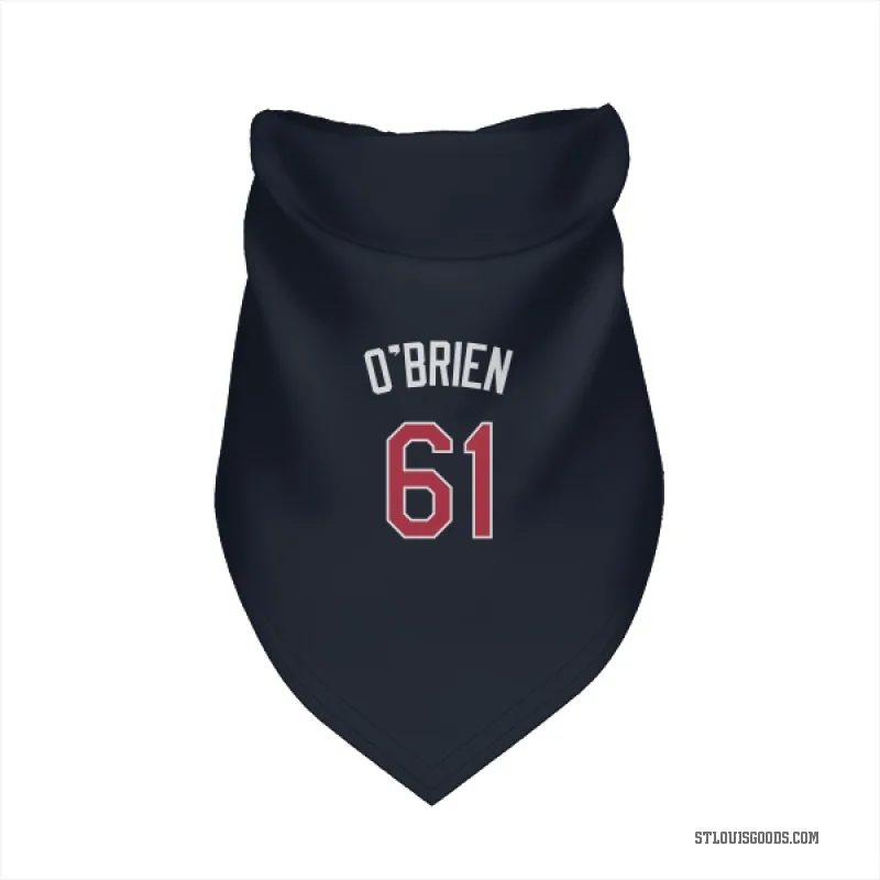 Riley O'Brien  Navy St. Louis Cardinals  Cat & Dog Pet Bandana