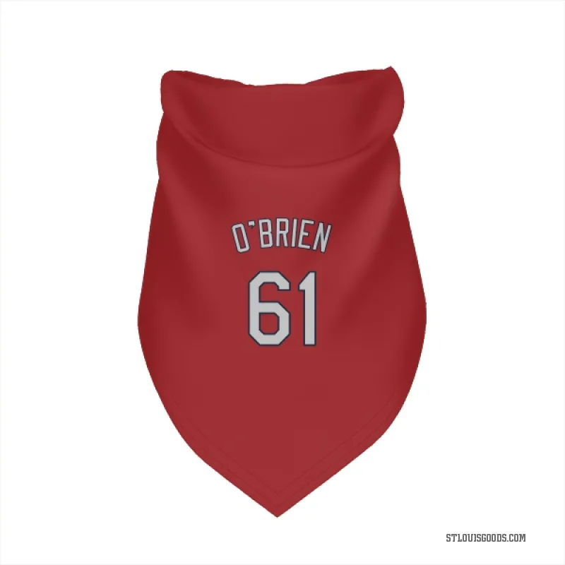 Riley O'Brien  Red St. Louis Cardinals  Cat & Dog Pet Bandana